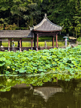 龍頭寺公園