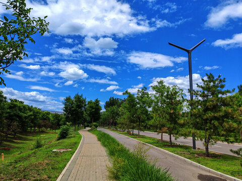 通州城市綠心森林公園