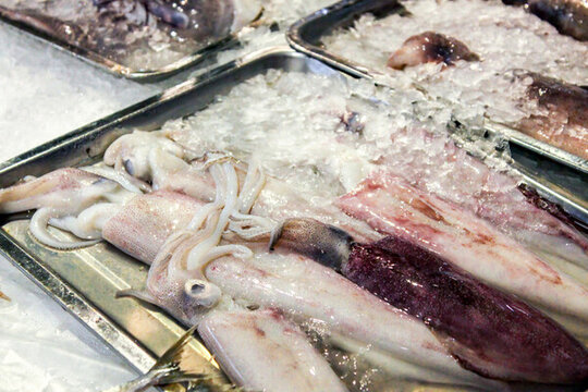 水產(chǎn)市場
