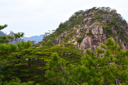黃山