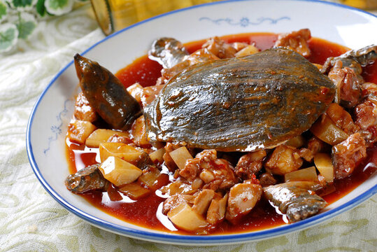 土豆燒甲魚