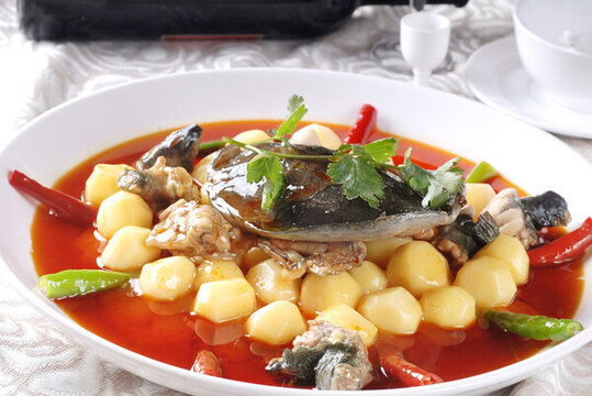 土豆燒甲魚(yú)