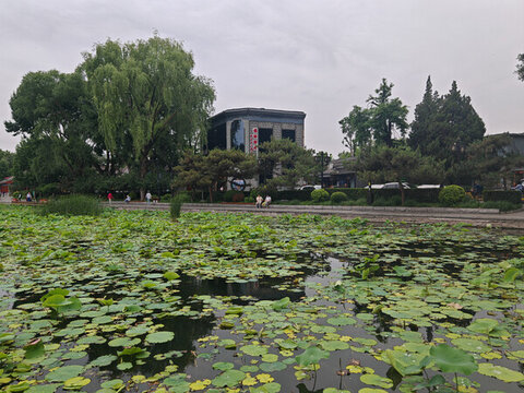 什剎海西海濕地公園