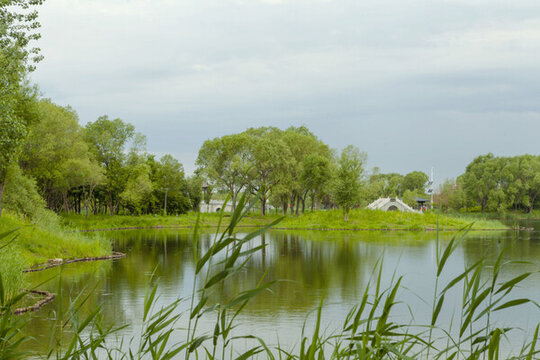 長春北湖公園