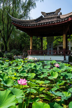 江南園林景觀