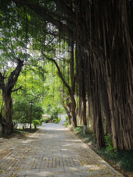 福州烏山風(fēng)景區(qū)