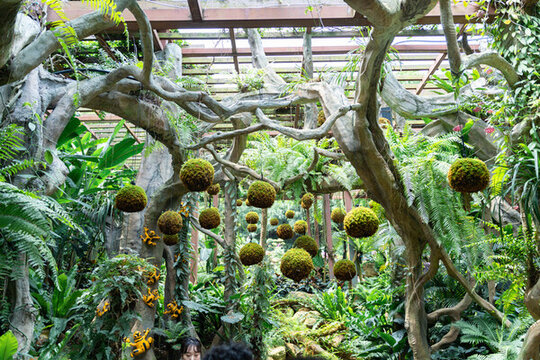 廣西南寧青秀山植物園