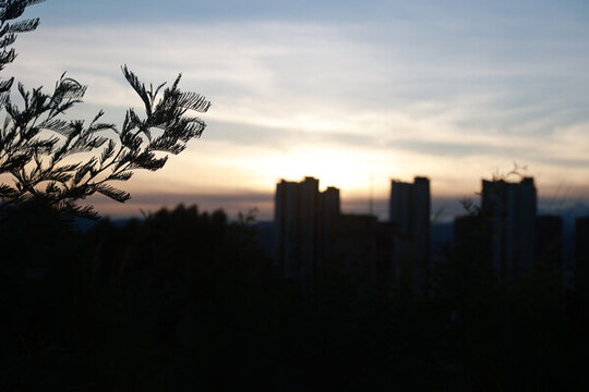 夕陽