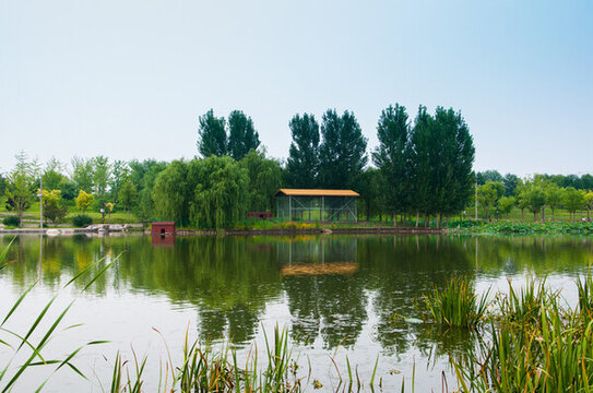 濕地公園
