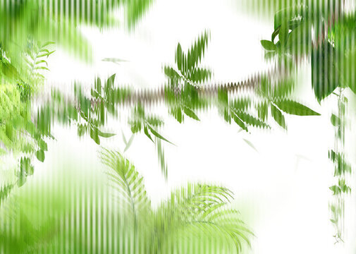 清新植物背景
