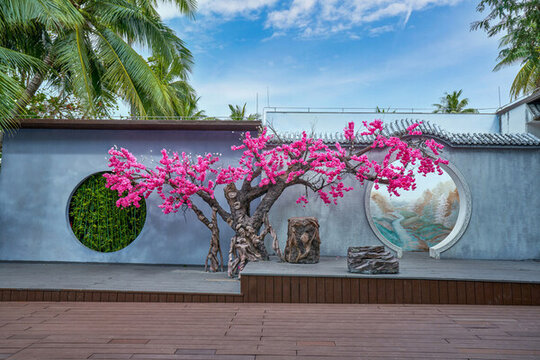 花藝小景