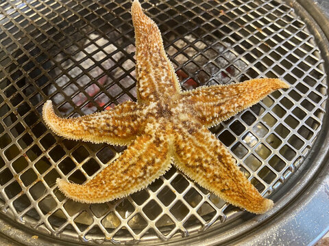 燒烤海星