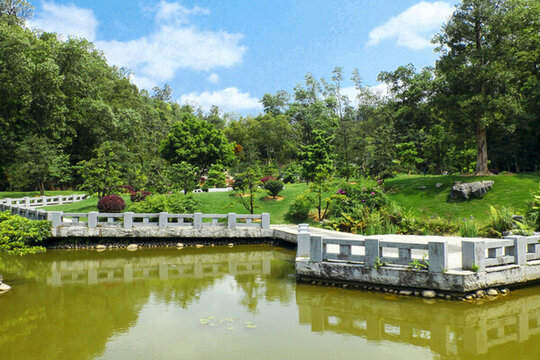 仙湖植物園一角