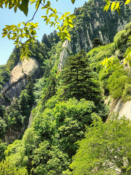 華山蒼龍嶺