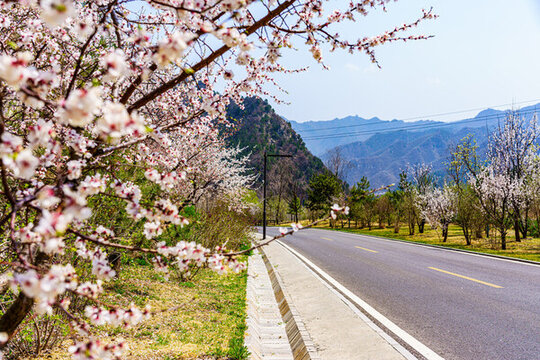 阿那亞金山嶺