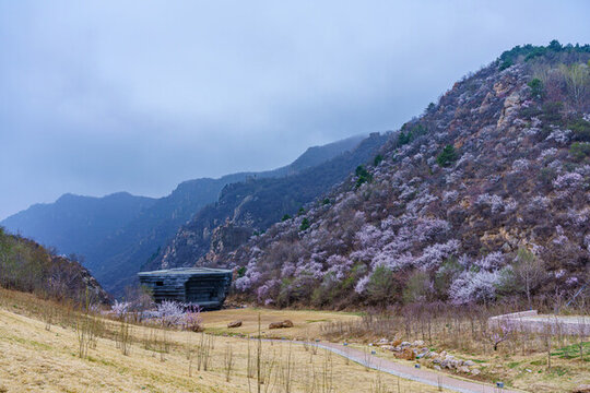阿那亞金山嶺