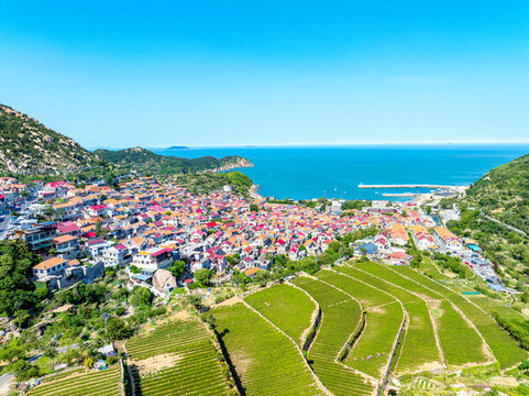 青島青山漁村