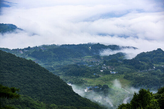 雨中晨霧