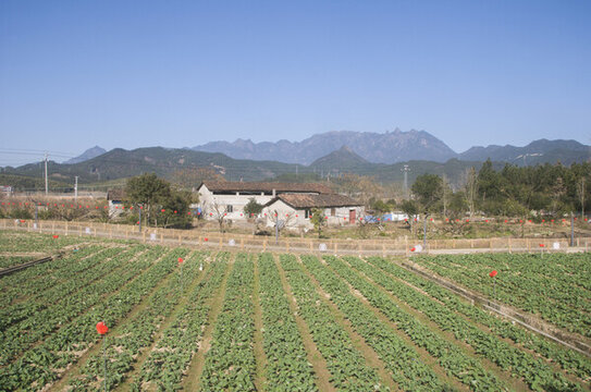 光澤鄉(xiāng)村田園風(fēng)光