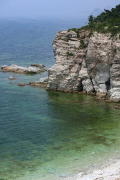 煙臺(tái)養(yǎng)馬島果凍海