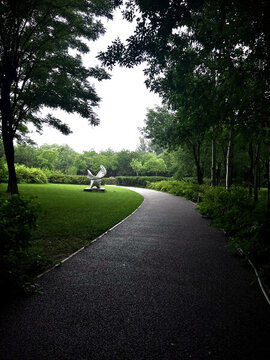 公園草坪