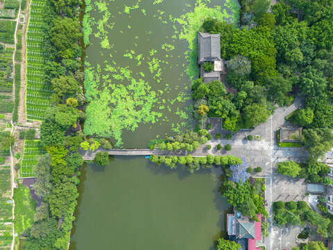 宜賓天池公園