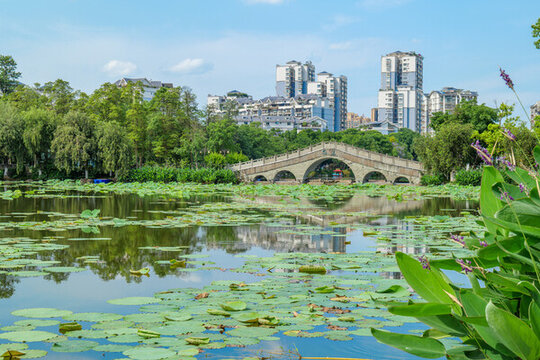 宜賓天池公園