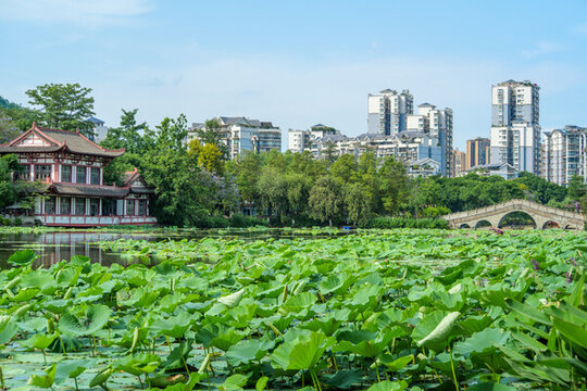 宜賓天池公園