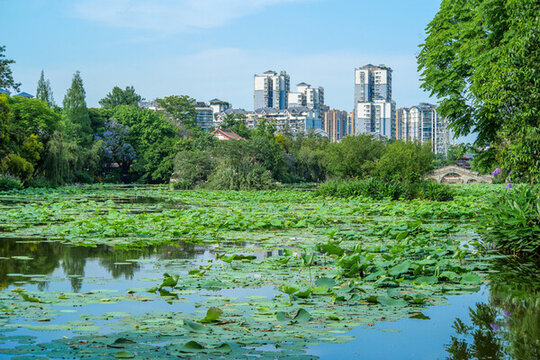 宜賓天池公園