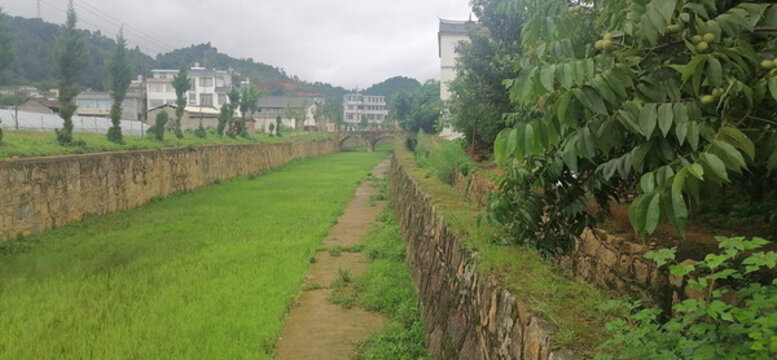 美麗河