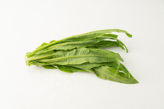 油麥菜