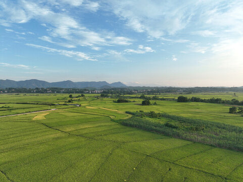 田園風(fēng)光