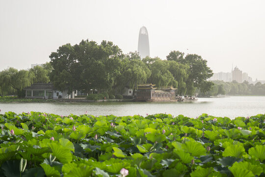 大明湖