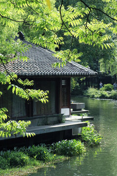 杭州西湖夏季曲院風荷