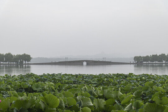 清晨西湖風(fēng)景
