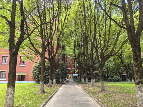 東華大學(xué)校園紅樓