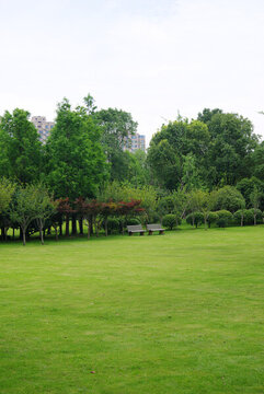 城市公園草坪