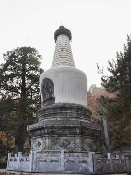 北京大覺寺白塔