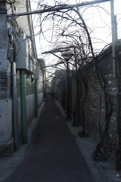 北京胡同