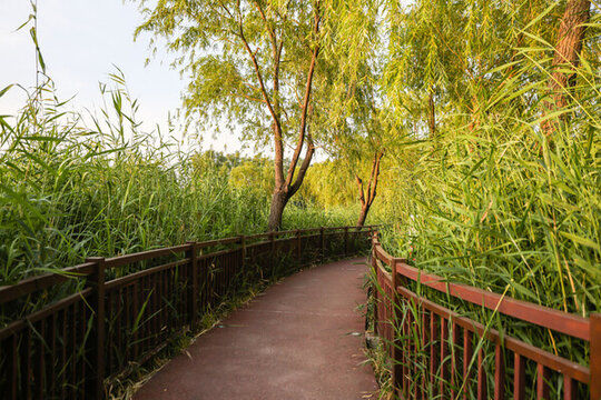 北京紅領(lǐng)巾公園