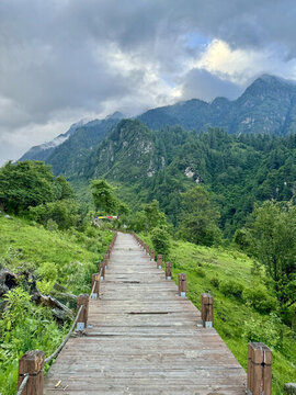 百花山