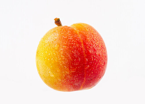 紅色熟李子特寫