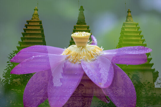 五塔寺蓮花多重曝光