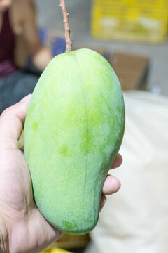廣西金煌芒果