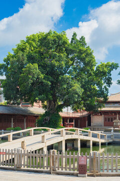泉州府文廟