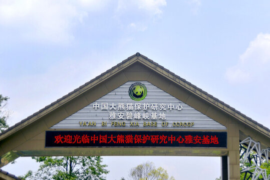 熊貓保護(hù)研究中心雅安碧峰峽基地