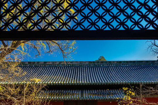 北京大覺寺