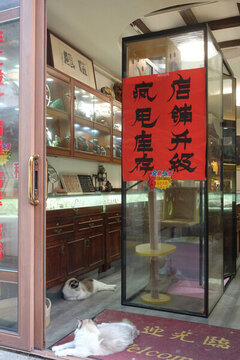 七寶老街店鋪