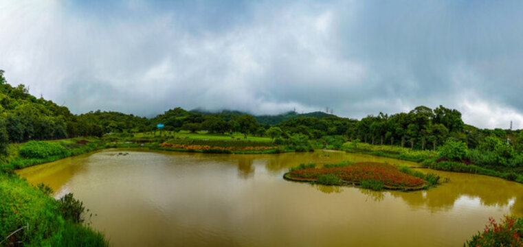 深圳梧桐山恩上濕地公園雨后風(fēng)景