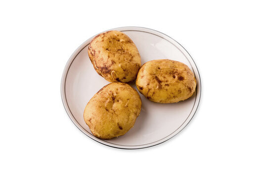 土豆包